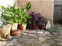 a3b2521a-2016-07-27 07.40.03.jpg